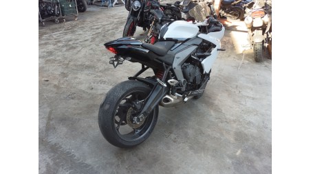 triumph daytona - del año 2024