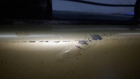 Recambio de paragolpes delantero para citroën c4 grand picasso 2006-2013 exclusive referencia OEM IAM 7401FK 7401FK 