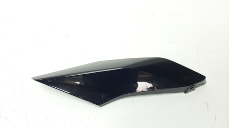 Recambio de moldura para bmw r 1250 r 2018- referencia OEM IAM 46638534280  