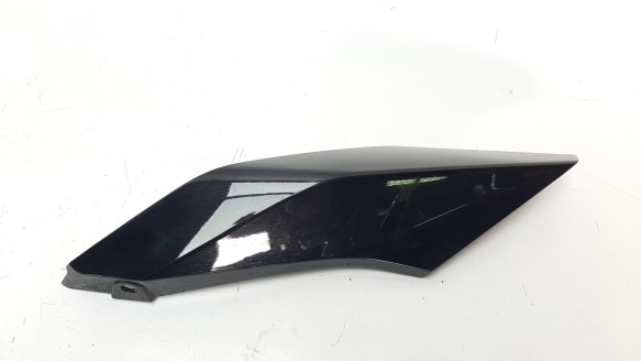 Recambio de moldura para bmw r 1250 r 2018- referencia OEM IAM 46638534279  