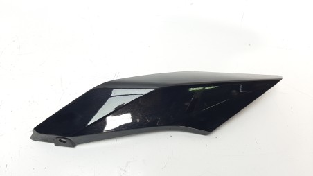 Recambio de moldura para bmw r 1250 r 2018- referencia OEM IAM 46638534279  