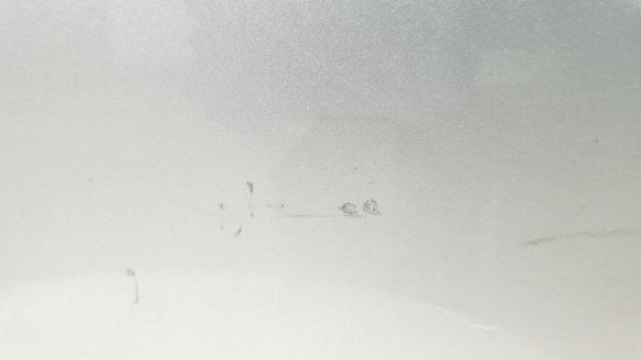 Recambio de puerta delantera izquierda para bmw 5 (e60) 2001-2010 525 d referencia OEM IAM 41515A2A3A5 41515A2A3A5 