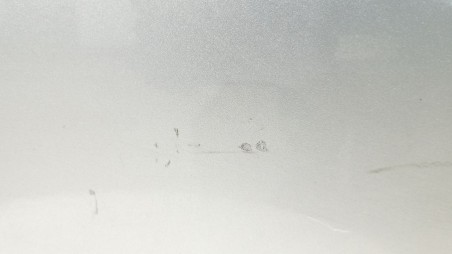 Recambio de puerta delantera izquierda para bmw 5 (e60) 2001-2010 525 d referencia OEM IAM 41515A2A3A5 41515A2A3A5 