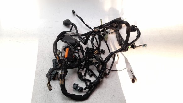 Recambio de arnes de cables para kawasaki ninja 400 2017- referencia OEM IAM 260312797  