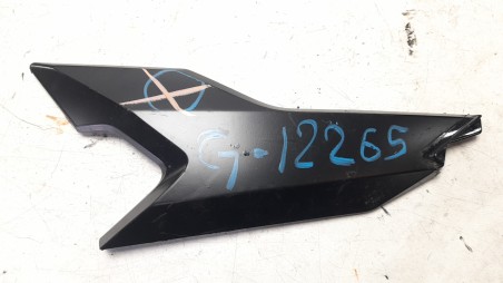 Recambio de moldura para bmw c - c 400 x referencia OEM IAM 46638558589  