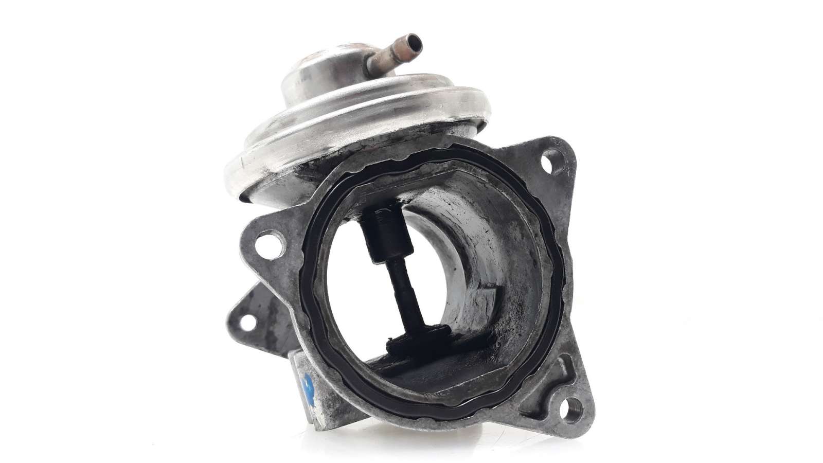 VALVULA EGR VOLKSWAGEN GOLF V BERLINA (1K1) 2003-2008 (038129637D 1554126)