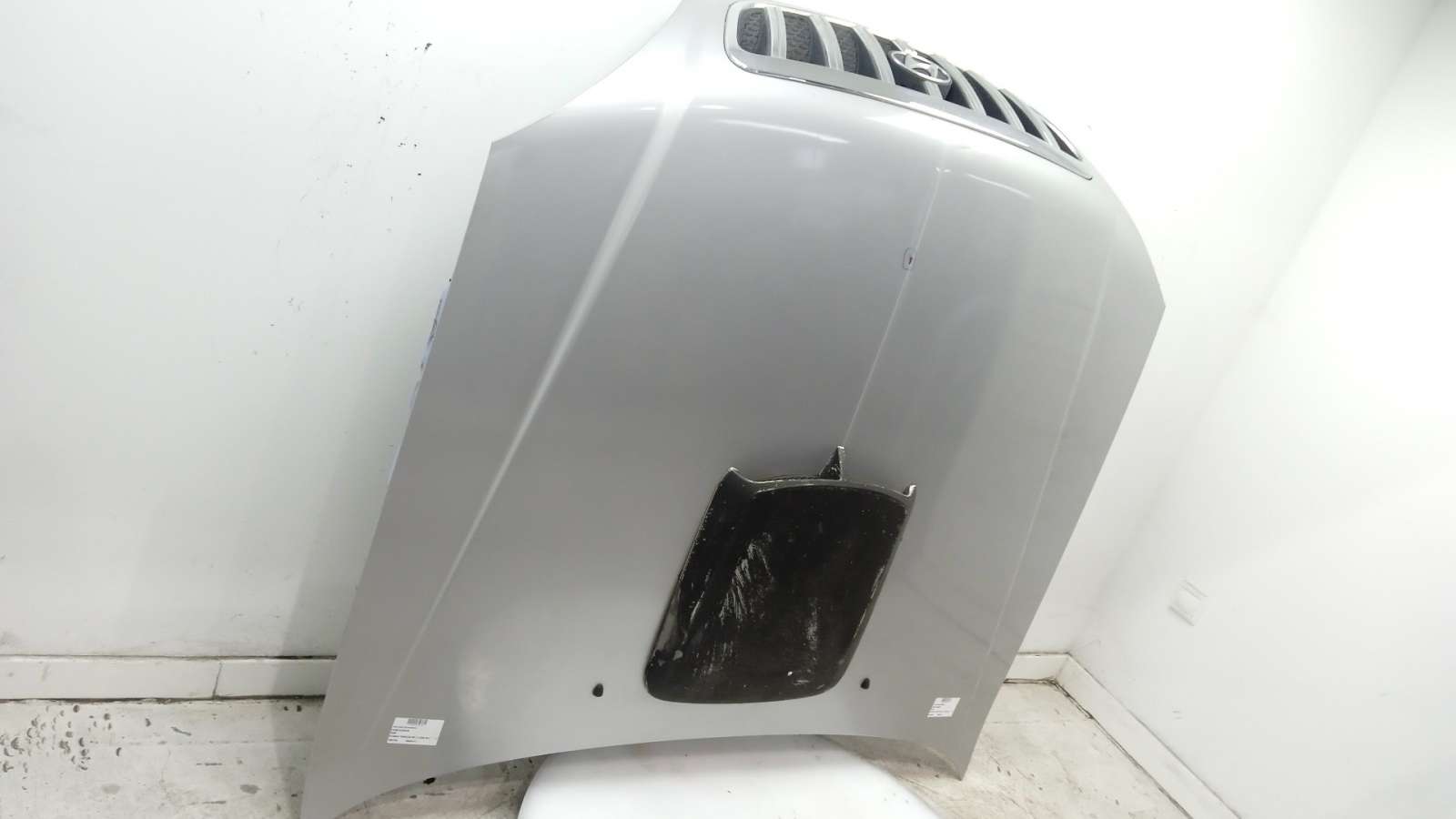 CAPO HYUNDAI TERRACAN (HP) 2001-2008 (79000H1211 1665704)