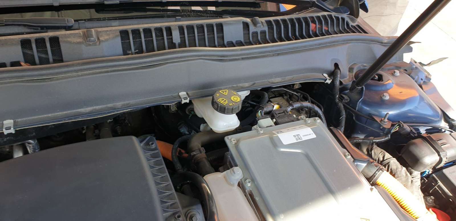 SERVOFRENO DG982B195BE 