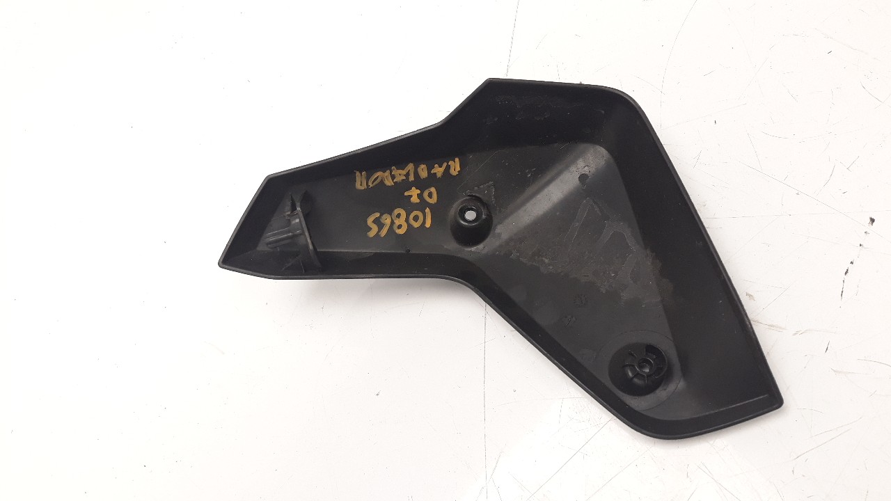 MOLDURA BMW R 1250 R 2018- (46638382813 1160770)