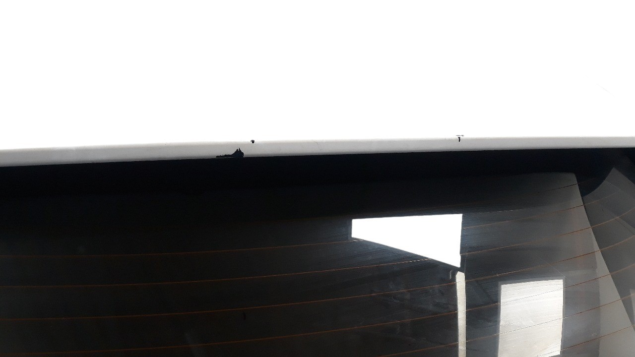 PORTON TRASERO CITROËN C4 PICASSO 2013- (1609375980 1024826)