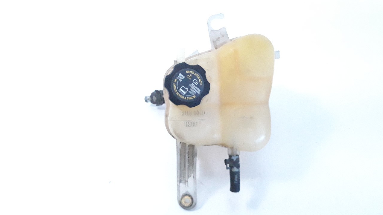 DEPOSITO EXPANSION CADILLAC SRX 2004-2007 (25767641 1039488)