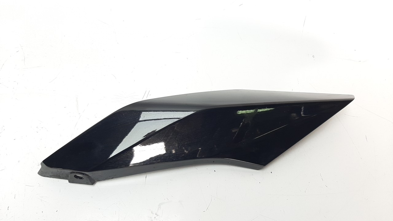 MOLDURA BMW R 1250 R 2018- (46638534279 1200023)