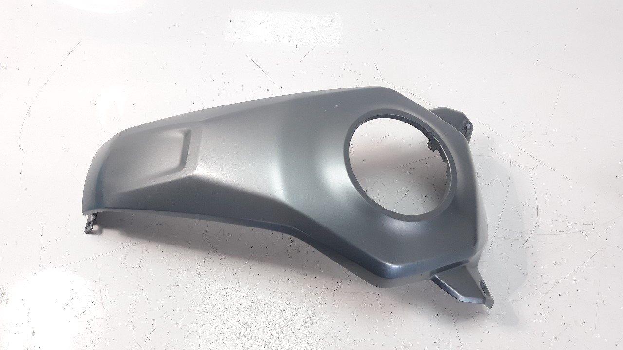 MOLDURA BMW F 900 XR 2019- (46638403889 1248632)