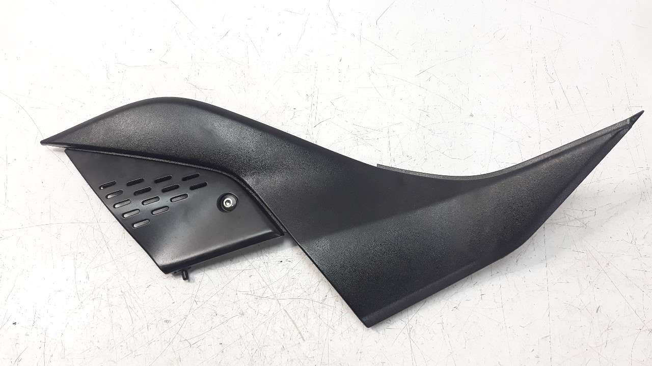 MOLDURA KAWASAKI Z 750 / Z 1000 2002-2014 (360010108 1287303)