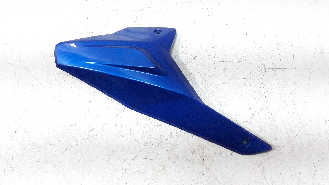 MOLDURA BMW F 900 R 2019- (77318409525 1305937)