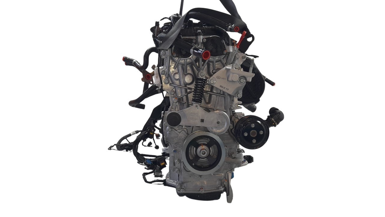 MOTOR COMPLETO G4LL 