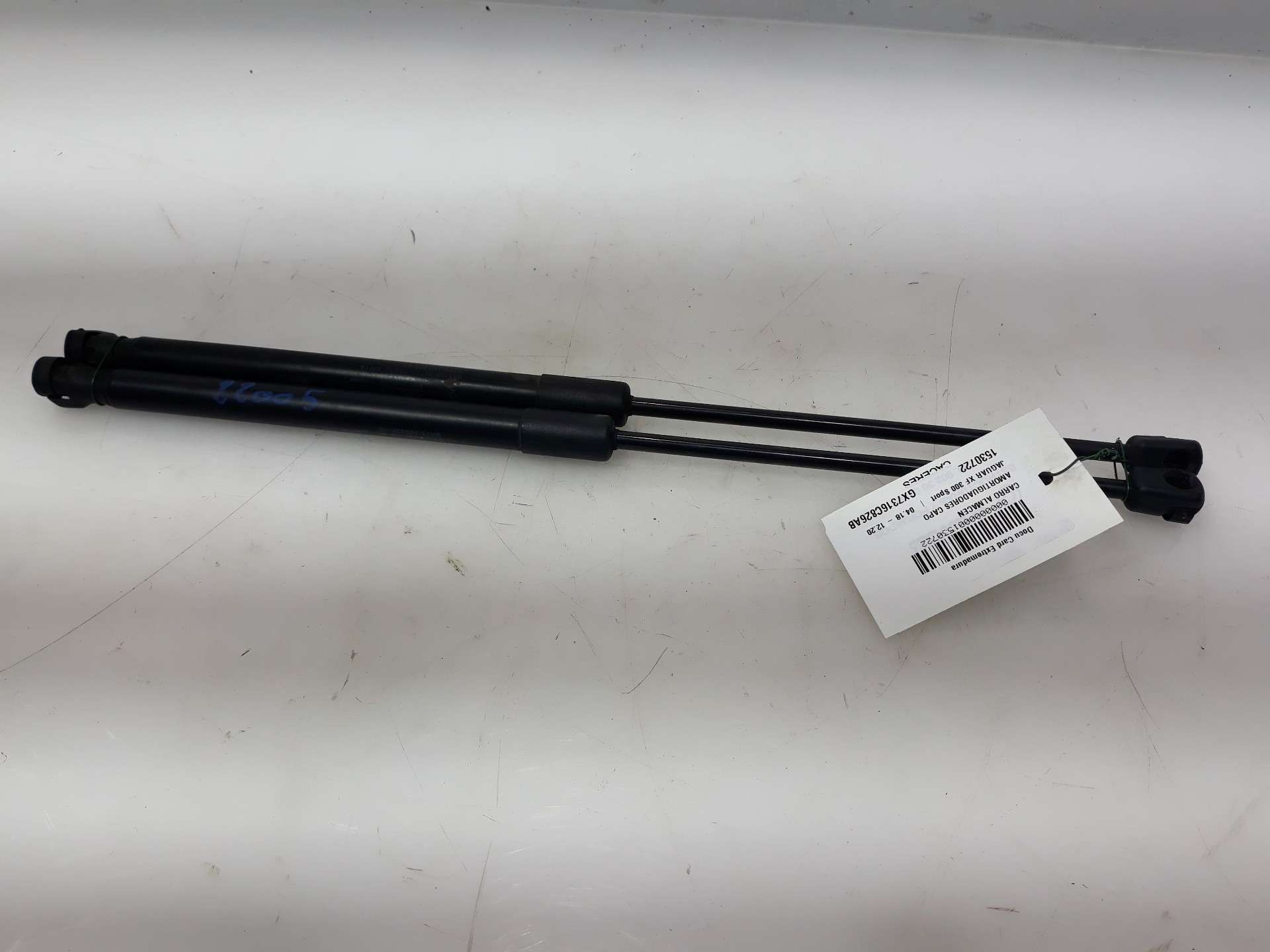 AMORTIGUADORES CAPO JAGUAR XF II (X260) 2015- (GX7316C826AB 1530722)