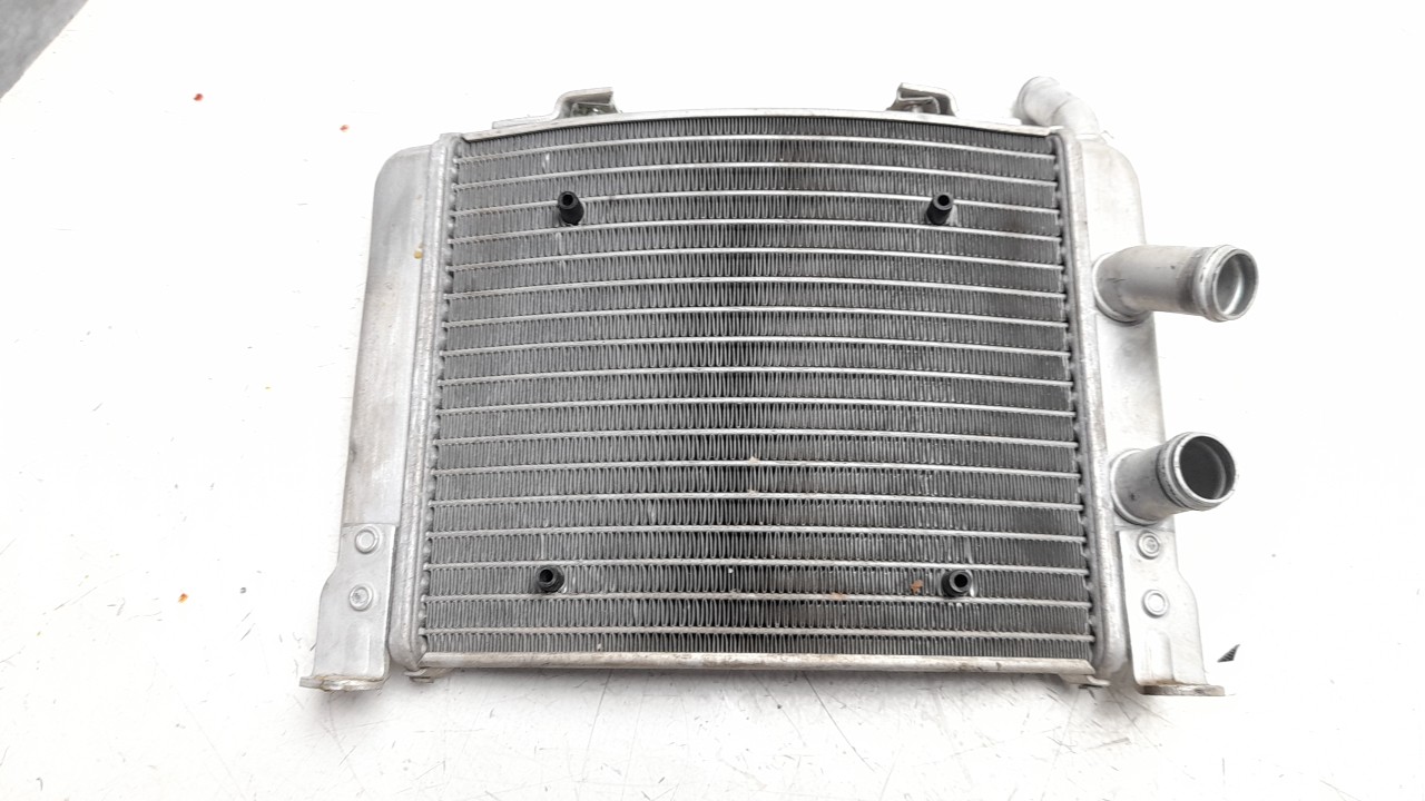 RADIADOR AGUA BMW C - (17118565186 1481047)