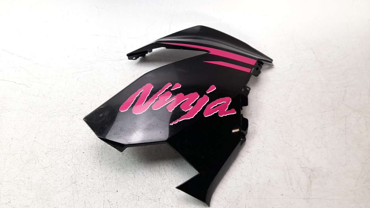 CARENADO DELANTERO DERECHO 550280687660 