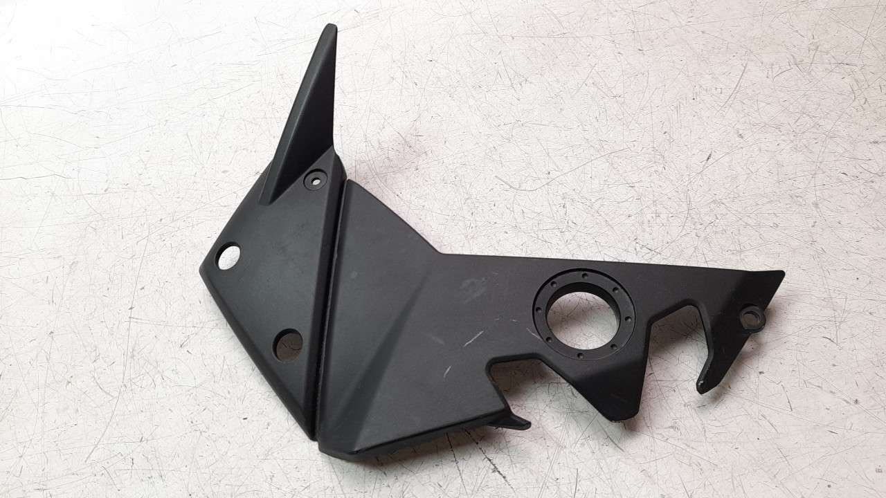 MOLDURA KAWASAKI Z 750 / Z 1000 2002-2014 (14091081618T 1383678)