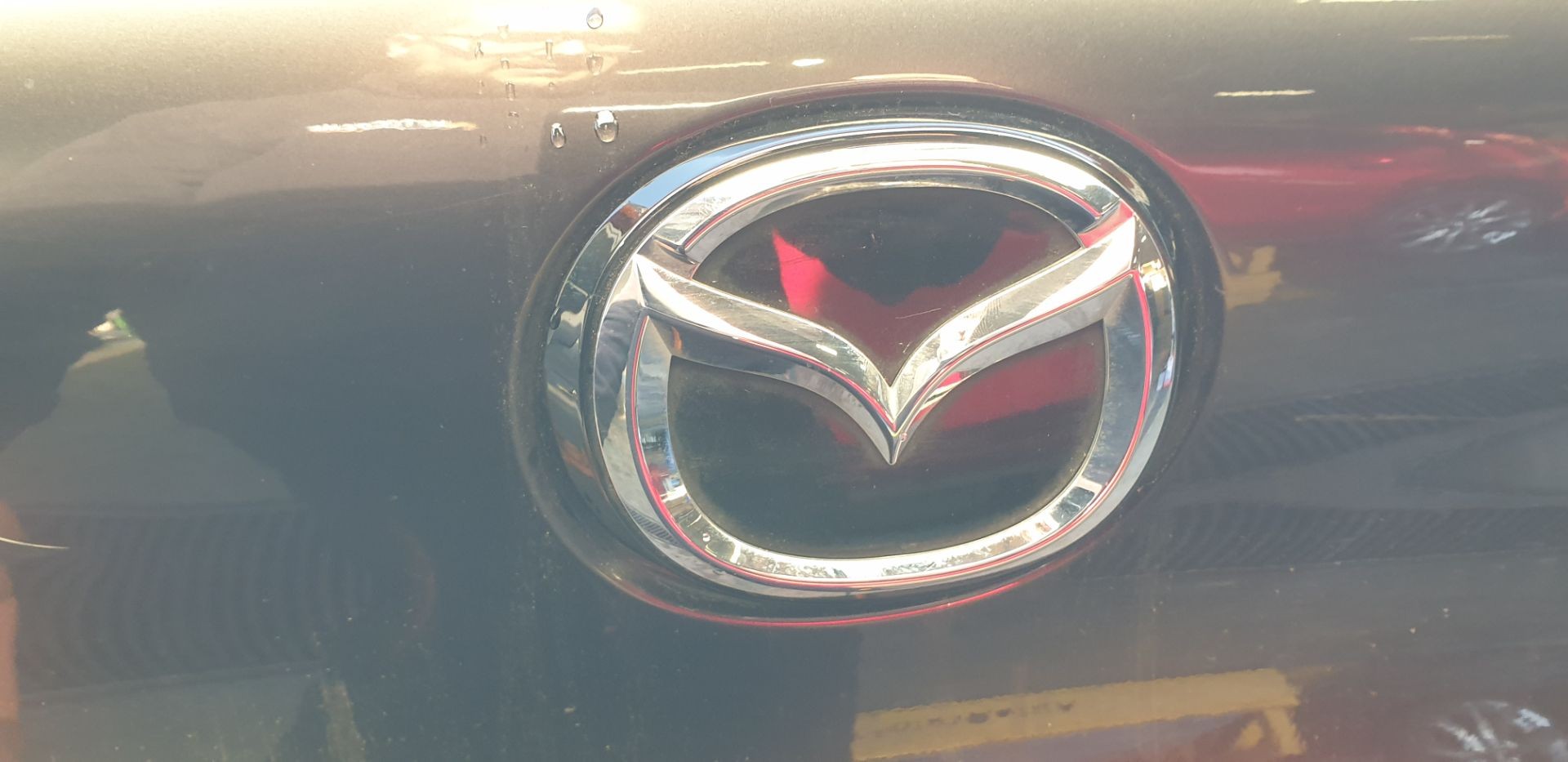 MANETA EXTERIOR MALETERO / PORTON BDMT50854 