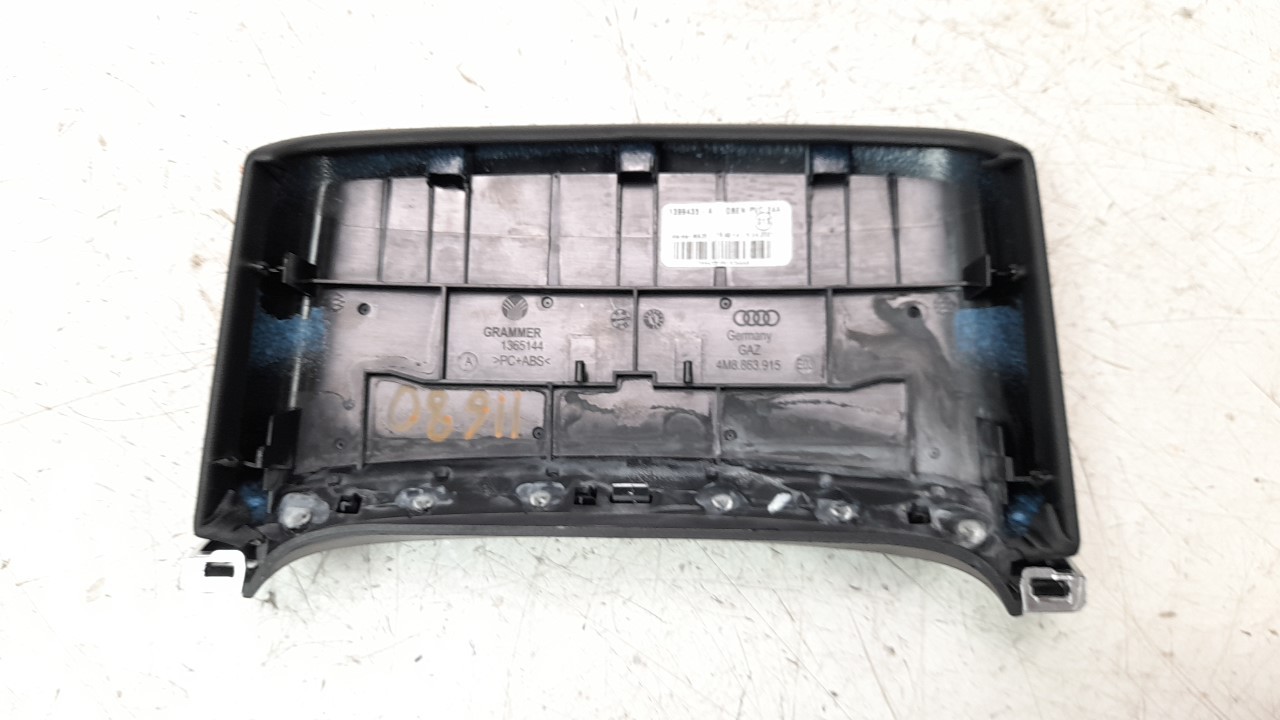 MOLDURA AUDI Q7 4MG 2019- (4M8863915 1398570)