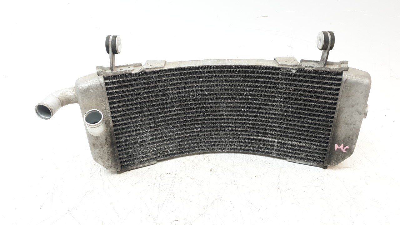 RADIADOR AGUA BBW124610000 