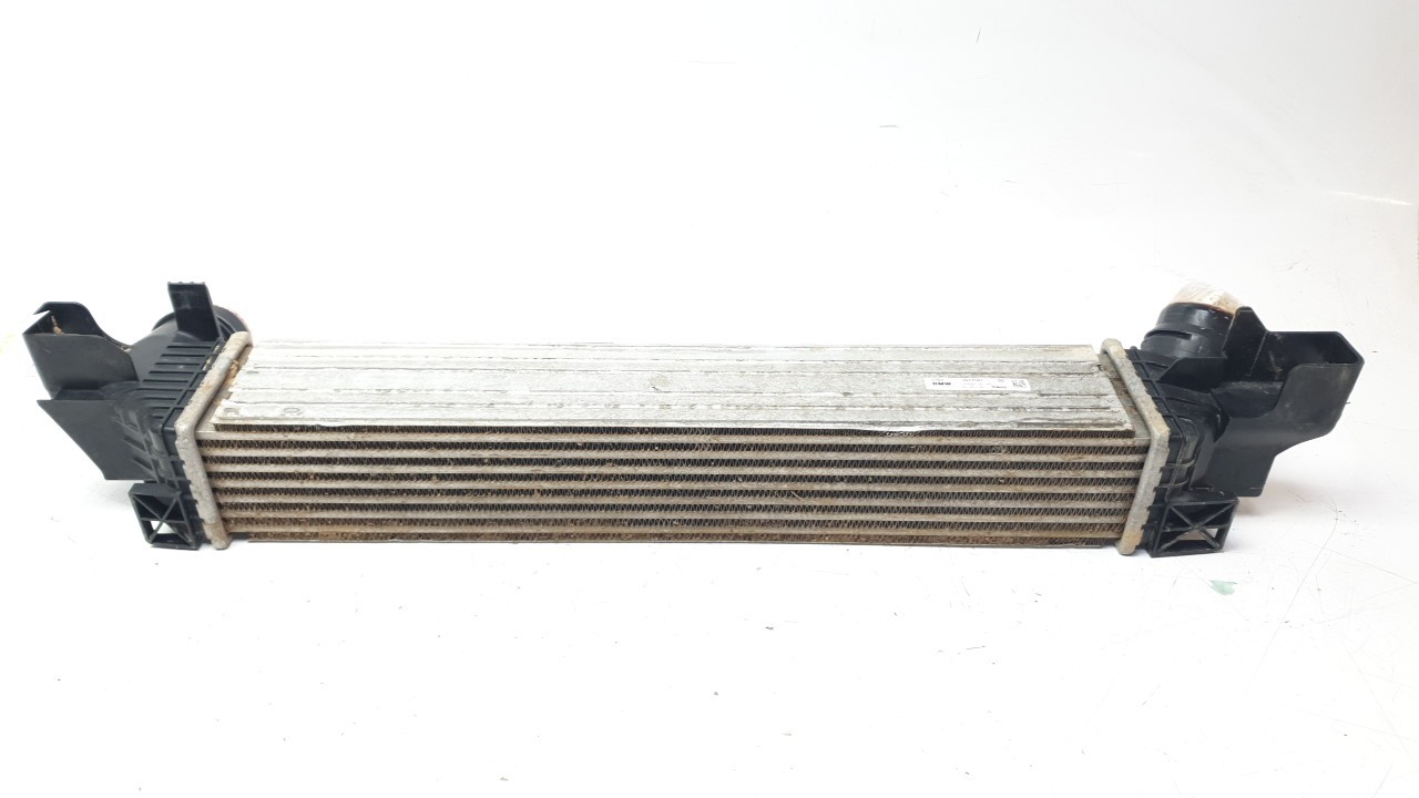 INTERCOOLER 17517617597 BM250N001/219520A/30944